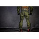 Тактические брюки EmersonGear G3 CP UPG