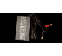 Зарядное устройство для тягового аккумулятора lifepo4 24v (29.2V) 20 ампер